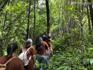 12. โครงการสร้างจิตสำนึกการอนุรักษ์สิ่งแวดล้อมธรรมชาติ​ กิจกรรมเดินสำรวจพันธ์ุไม้​ ศึกษาระบบนิเวศป่าไม้และการจัดการฝายในป่าชุมชน​