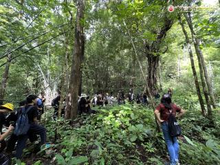 15. โครงการสร้างจิตสำนึกการอนุรักษ์สิ่งแวดล้อมธรรมชาติ​ กิจกรรมเดินสำรวจพันธ์ุไม้​ ศึกษาระบบนิเวศป่าไม้และการจัดการฝายในป่าชุมชน​