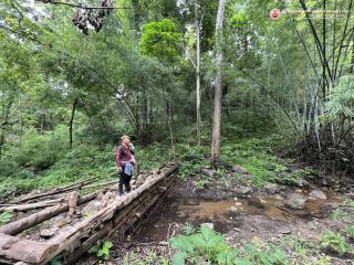 24. โครงการสร้างจิตสำนึกการอนุรักษ์สิ่งแวดล้อมธรรมชาติ​ กิจกรรมเดินสำรวจพันธ์ุไม้​ ศึกษาระบบนิเวศป่าไม้และการจัดการฝายในป่าชุมชน​