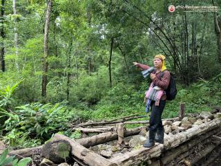 26. โครงการสร้างจิตสำนึกการอนุรักษ์สิ่งแวดล้อมธรรมชาติ​ กิจกรรมเดินสำรวจพันธ์ุไม้​ ศึกษาระบบนิเวศป่าไม้และการจัดการฝายในป่าชุมชน​