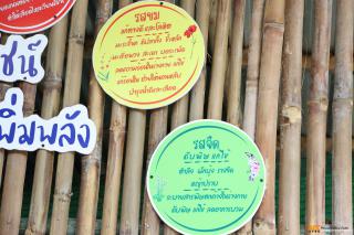 67. โครงการอบรมการสร้างจิตสำนึกการอนุรักษ์สิ่งแวดล้อมธรรมชาติจังหวัดกำแพงเพชร