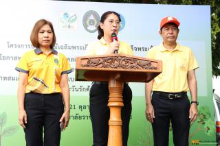 19. โครงการปลูกต้นไม้เฉลิมพระเกียรติพระบาทสมเด็จพระเจ้าอยู่หัว