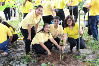 23. โครงการปลูกต้นไม้เฉลิมพระเกียรติพระบาทสมเด็จพระเจ้าอยู่หัว