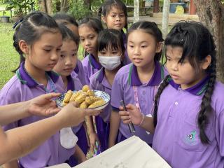 237. พิพิธภัณฑสถานจังหวัดกำแพงเพชร เฉลิมพระเกียรติได้ให้ความร่วมมือกับโรงเรียนสาธิตฯจัดกิจกรรมเรียนรู้นอกสถานที่ หน่วยบูรณาการแหล่งเรียนรู้ในท้องถิ่น เรื่องกล้วย ให้กับนักเรียนชั้นประถมศึกษาปีที่ 3-4