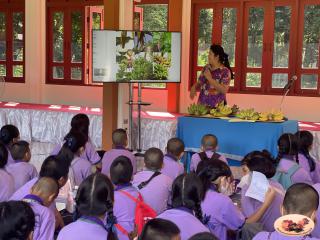 36. พิพิธภัณฑสถานจังหวัดกำแพงเพชร เฉลิมพระเกียรติ ได้ให้ความร่วมมือกับโรงเรียนสาธิตฯจัดกิจกรรมเรียนรู้นอกสถานที่ หน่วยบูรณาการแหล่งเรียนรู้ในท้องถิ่น เรื่องกล้วย ให้กับนักเรียนชั้นประถมศึกษาปีที่ 5-6