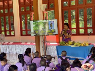 38. พิพิธภัณฑสถานจังหวัดกำแพงเพชร เฉลิมพระเกียรติ ได้ให้ความร่วมมือกับโรงเรียนสาธิตฯจัดกิจกรรมเรียนรู้นอกสถานที่ หน่วยบูรณาการแหล่งเรียนรู้ในท้องถิ่น เรื่องกล้วย ให้กับนักเรียนชั้นประถมศึกษาปีที่ 5-6